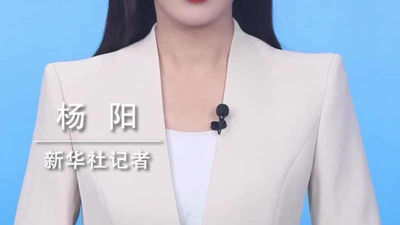 Shopify独立站云服务方案：构建高效电商平台的秘密武器